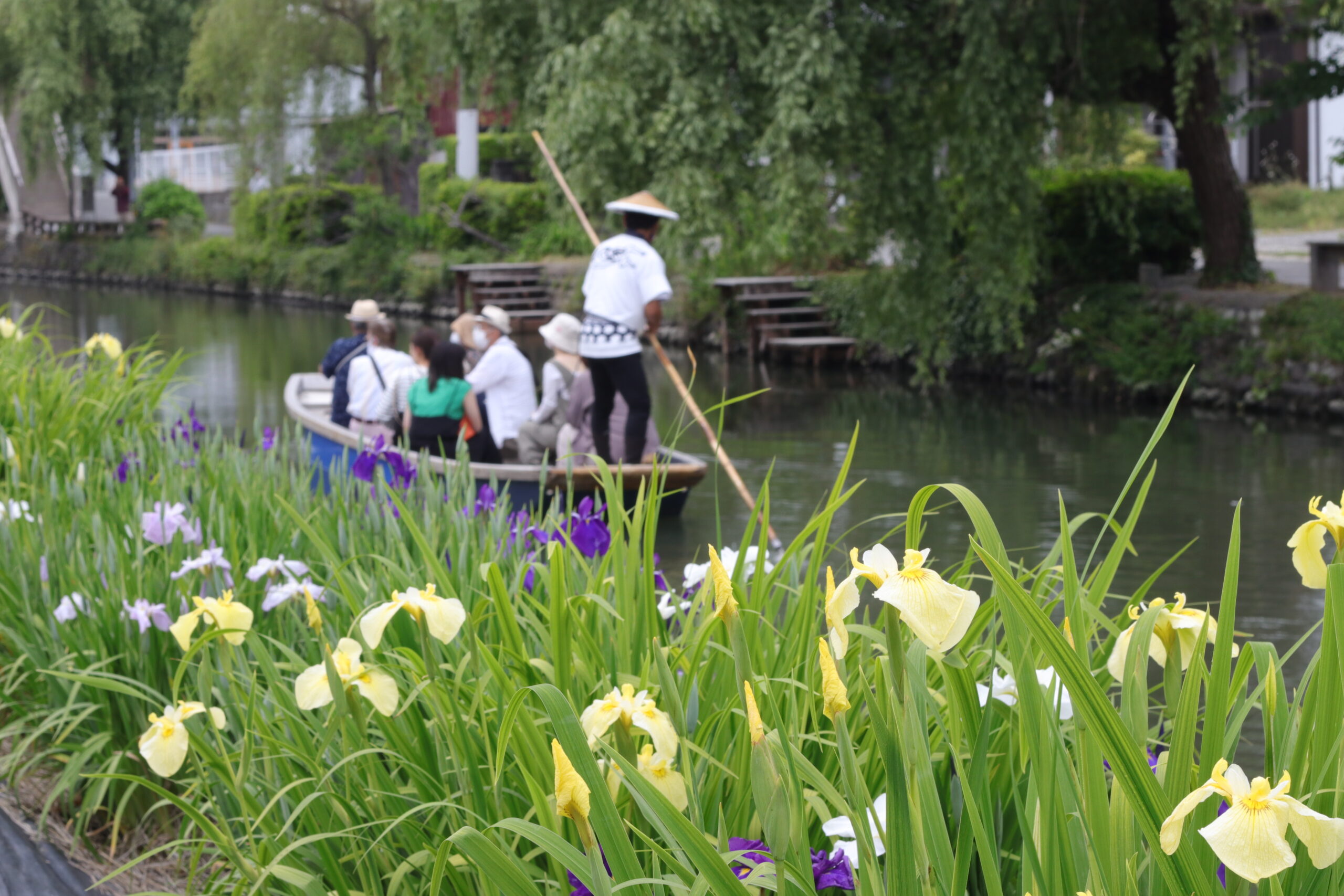 yanagawa:"Introducing Recommended Plans for Yanagawa River Cruise Tourist Spots - From Half-Day (Day Trips) to Overnight Stays"